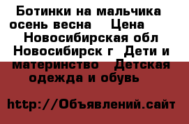 Ботинки на мальчика (осень-весна) › Цена ­ 250 - Новосибирская обл., Новосибирск г. Дети и материнство » Детская одежда и обувь   